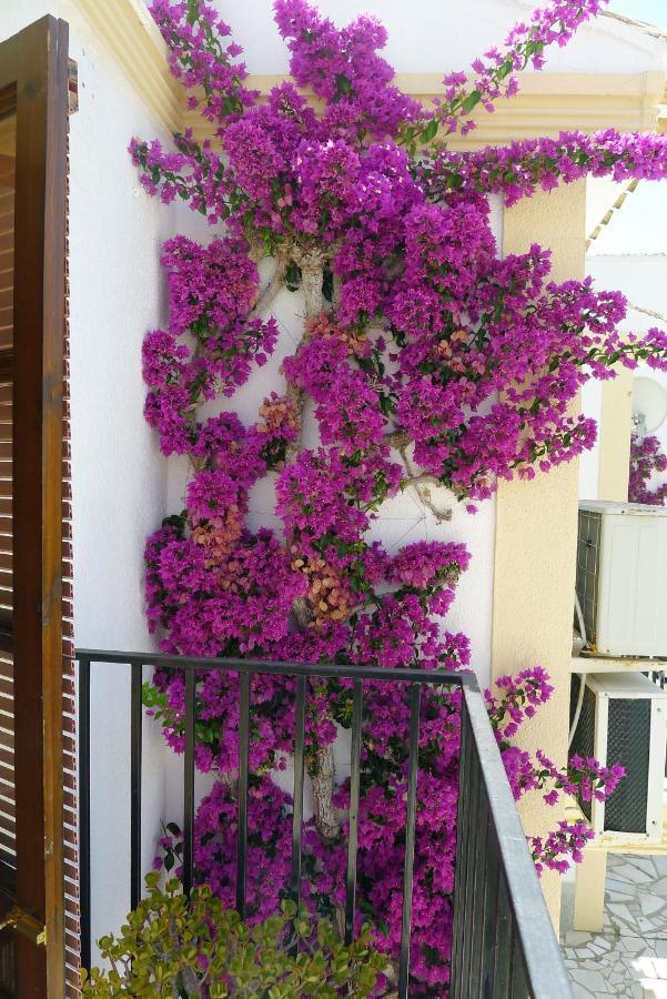 Sunny Coastal 1 Bed Apartment - Vera Coast: 2Mins To Beach Los Amarguillos Exterior photo